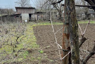 Casă cu 4 camere în Central - 3