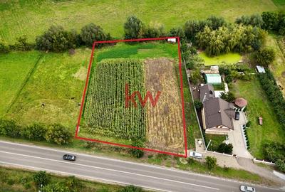 Teren Intravilan de 2451 MP - Bunesti, Suceava - 4