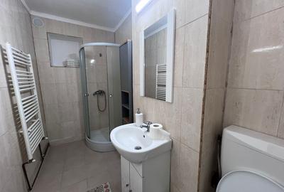 Apartament cu 2 camere semidecomandat în Gojdu - 6