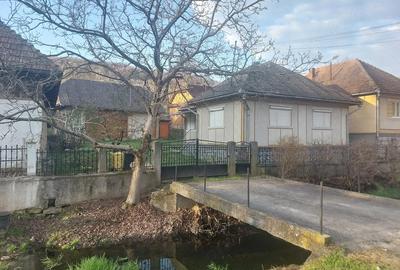 Casă cu 3 camere cu Teren 2000 Mp în Curtuiușu Mare - 5