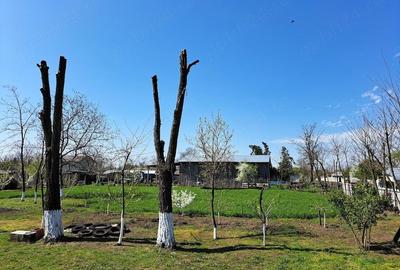 Casă cu 3 camere cu Teren 2000 Mp în Gemenele - 1