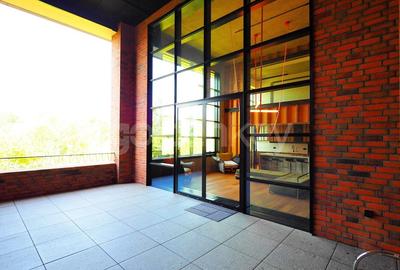 Apartament Loft spatios cu 4 camere | terasa 32mp - 24