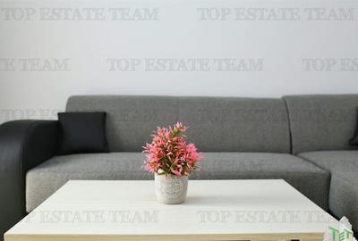 AFACERE LA CHEIE VILA 17 CAMERE 17 BAI EFORIE NORD - 19