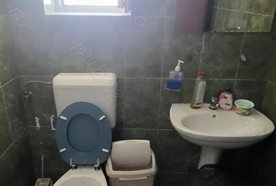 Spatiu de inchiriat Calea Stan Vidrighin - 5