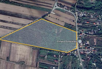 Teren Construcții intravilan de 181359 mp, în Dumbrăvești - 1