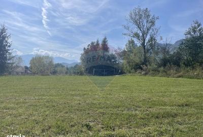 Teren de 850 mp, în Bran - 2