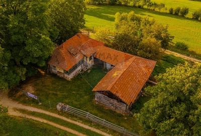 Teren intravilan cu PRIVELISTE UNICA |BRAN, BV| 3,000mp | COMISION 0 | - 8