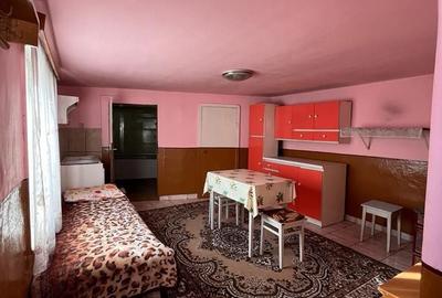 Casă cu 3 camere în Uileacu de Beiuș - 6