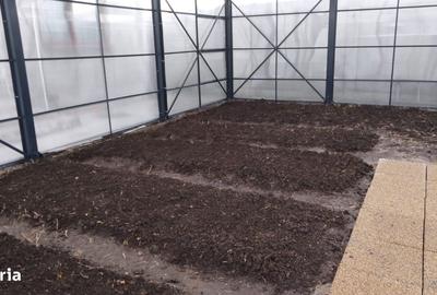 Spațiu comercial, în Răcari - 7