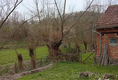 Casă cu 4 camere în Poieni (Densuș) - 8