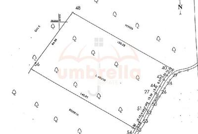 Teren de vanzare 11,600 mp in Campenesti, langa lacul 1 - 4