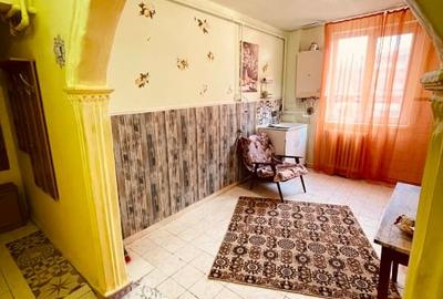Apartament cu 2 camere semidecomandat în Cetate - 2