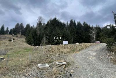 Teren de 3039 mp, în Colibița - 4