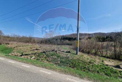 Teren Construcții intravilan de 9428 mp, în Podiș - 2
