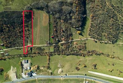 Teren de 7744 mp, în Cordău - 1