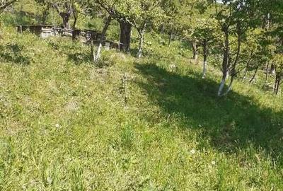 Casă cu 4 camere în Stulpicani - 2