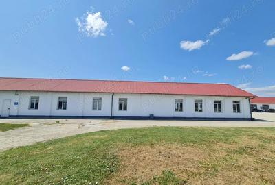 Spațiu comercial, de 1,059 mp, în Lugoj - 9