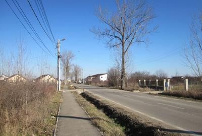 Teghes-Padurarului - 13