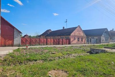 Casă individuală cu 3 camere cu Teren 1439 Mp în Sânpetru Mare - 1