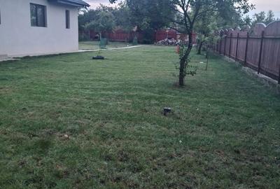 Casă cu 3 camere cu Teren 1600 Mp în Prisăcani - 4