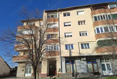 Apartament cu 3 camere decomandat în Nădlac - 9