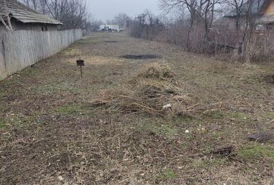 Spațiu comercial, în Tăbărăști - 4