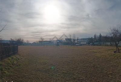 Teren de 3500 mp, în Bârnova - 3