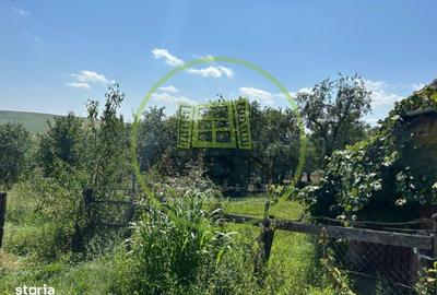 Casă cu 4 camere cu Teren 2188 Mp în Aiton - 7