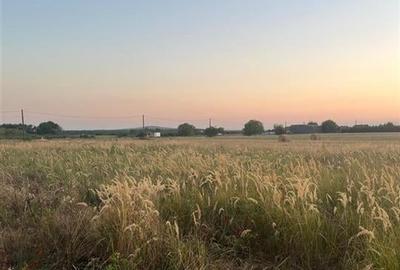 RECO Teren intravilan pentru casa Osorhei cu PUZ - 13