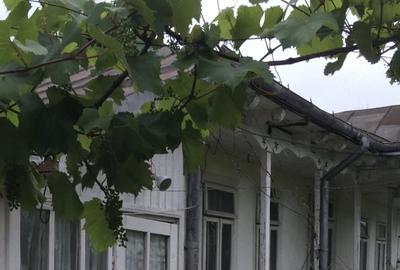 Casă cu Teren 2520 Mp în Moreni - 3