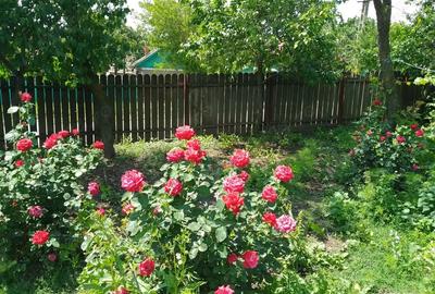 Casă cu 2 camere în Central