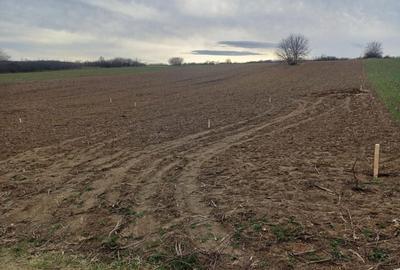 Teren Construcții de 433 mp, în Lunca Cetățuii - 1