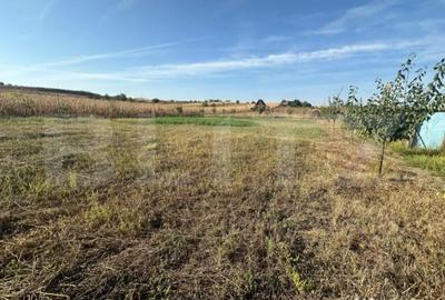 Teren de 500 mp, în Oarda - 2