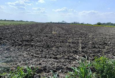 Teren intravilan Vadu-Pasii - 4