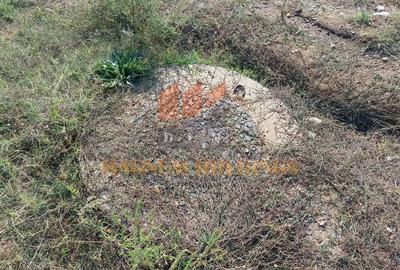 Teren cu autorizatie si proiect de construire, utilitati, Smeura - 11