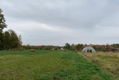 Teren de 4990 mp, în Duboz - 2