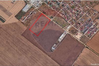 Teren agricol extravilan de 50000 mp, în Sud-Est - 3