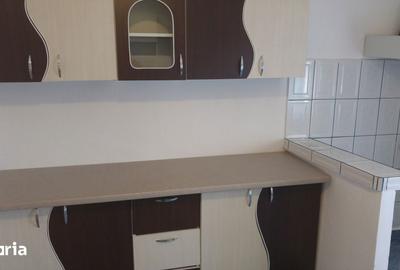 Apartament cu 2 camere semidecomandat în Broșteni - 1