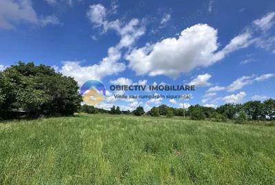 Teren intravilan de vanzare Unghi- jud. Neamt - 19