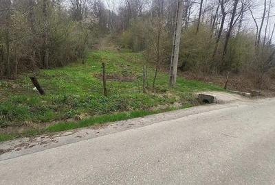 Teren 3100 mp si padure in Curtea de Arges zona Cuza Voda - 4