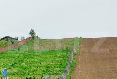 Teren de vanzare la intrarea in Sanisor Teren de vanzare la intrarea in Sanisor - 1