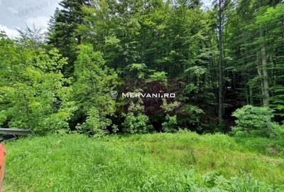 Teren intravilan de vanzare in Sinaia - Zona Furnica - 5