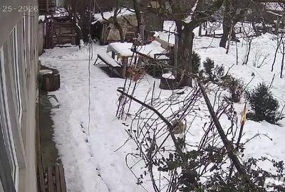 Casă cu Teren 1300 Mp în Gogoșari - 5