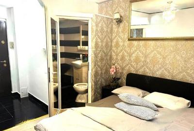 Garsoniera Renovata - Bloc Anvelopat - Acoperis - Zona Aradu - 2