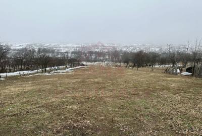 CASA DE VINZARE IN ILOVA\7 CAMERE, JUD.CARA?-SEVERIN - 5