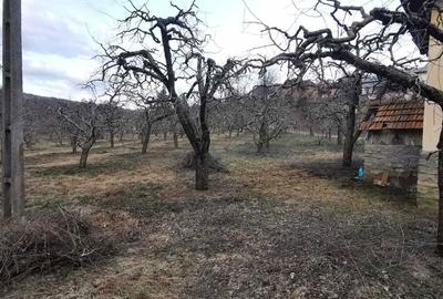 Casă cu 4 camere în Capu Coastei - 4