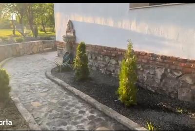 Casă cu 3 camere cu Teren 2000 Mp în Băcia - 7