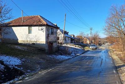 Vand casa cu vie localitatea Ineu judetul Arad - 3