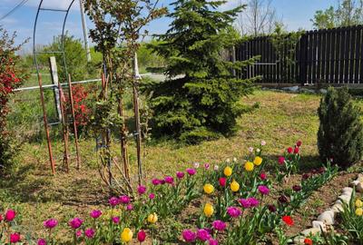 Casă cu 4 camere în Ciorogârla - 5