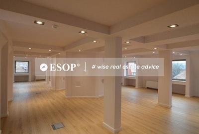 Spațiu comercial, de 637 mp, în Dorobanți - 11